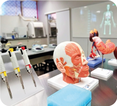 Laboratório com modelos anatômicos e equipamentos usados no ensino prático em saúde.
